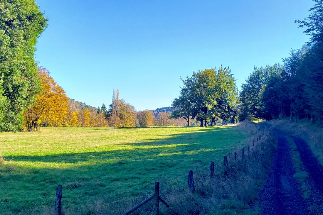 Farm Ranch in Curacautín, Araucania, Chile 2 - 11808235