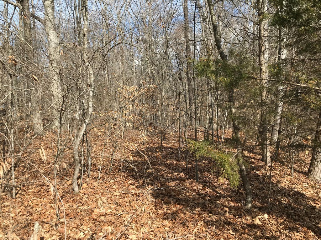 Terreno a White Pine, Tennessee, Stati Uniti 3 - 11806501