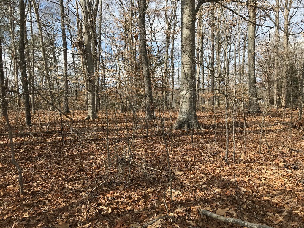 Terreno a White Pine, Tennessee, Stati Uniti 2 - 11806501