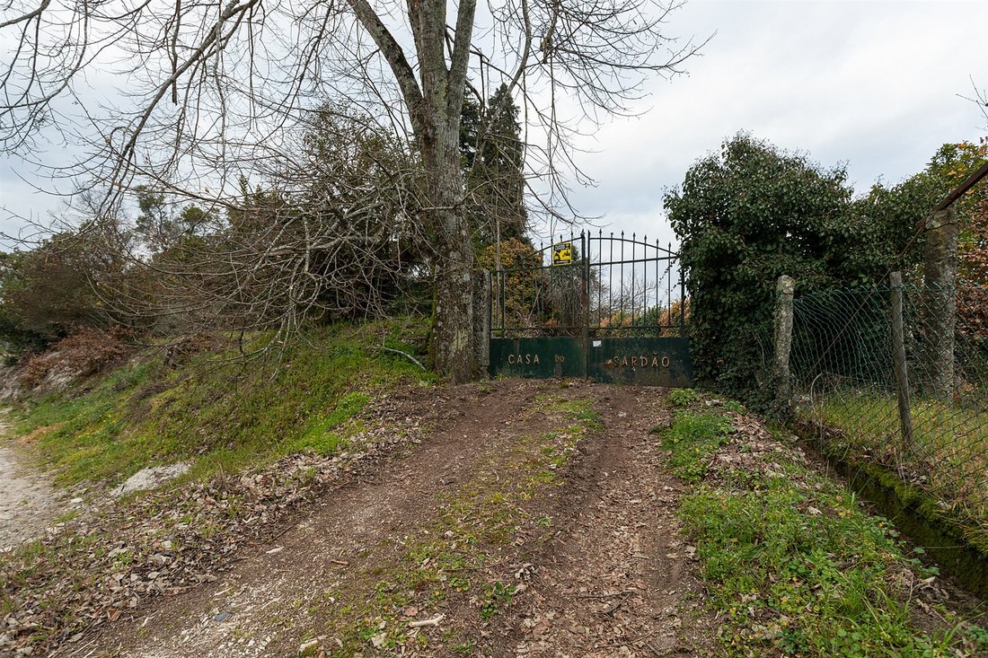 Farm Ranch in Amarante, Portugal, Porto District, Portugal 2 - 11810672