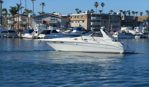 Sea Ray 330 (11813093)