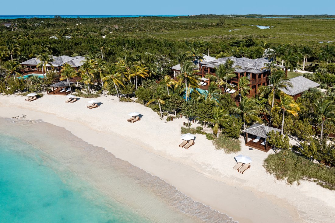 The Residence, Parrot In Sandy Point, Caicos Islands, Turks And Caicos