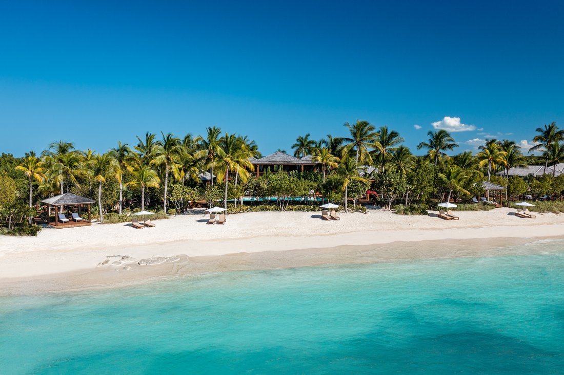 The Residence, Parrot In Sandy Point, Caicos Islands, Turks And Caicos ...