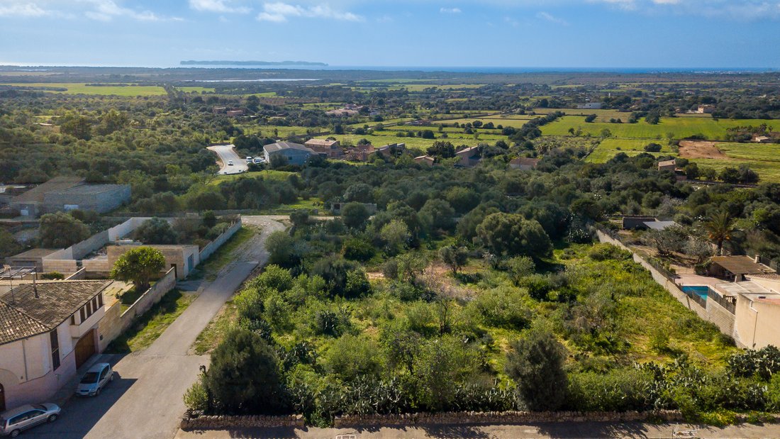 Land in ses Salines, Balearic Islands, Spain 2 - 11817785