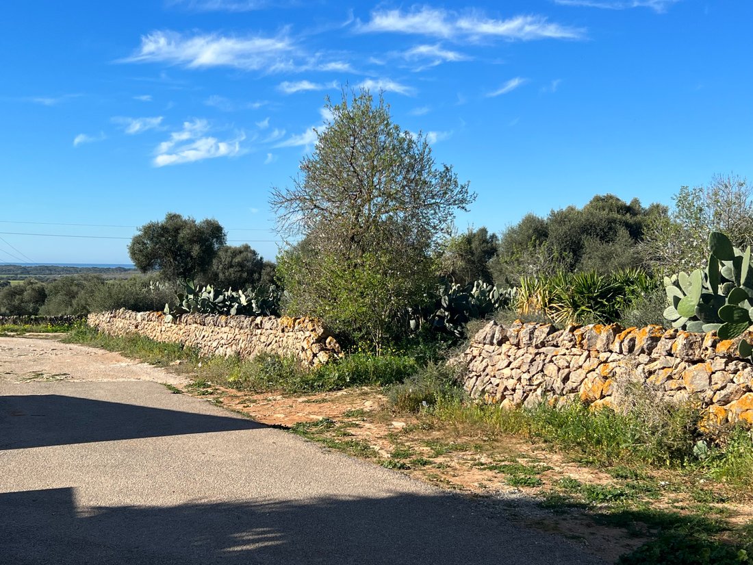 Land in ses Salines, Balearic Islands, Spain 4 - 11817785