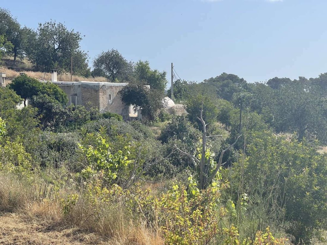 Villa in Sant Joan de Labritja, Balearic Islands, Spain 3 - 11820535
