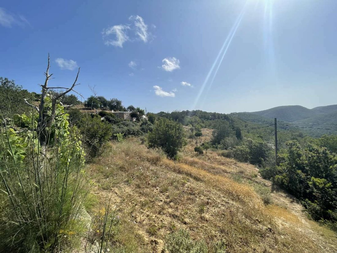 Villa in Sant Joan de Labritja, Balearic Islands, Spain 2 - 11820535
