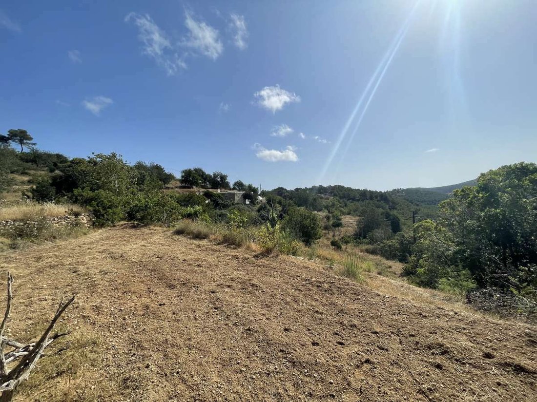 Villa in Sant Joan de Labritja, Balearic Islands, Spain 4 - 11820535