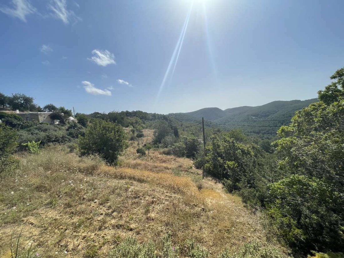 Villa in Sant Joan de Labritja, Balearic Islands, Spain 1 - 11820535