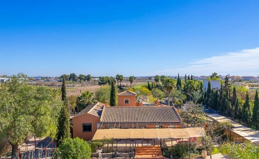 Finca in Catral, Valencian Community, Spain 1