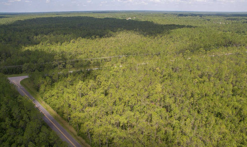 Lots And Land Ocean Springs In Vancleave, Mississippi, United States