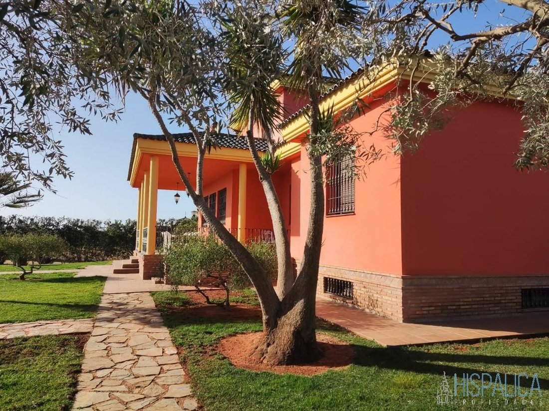 Casa de Campo en Utrera, Andalucía, España 1 - 11799336
