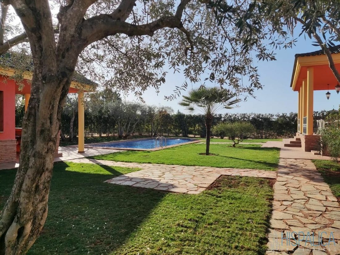 Casa de Campo en Utrera, Andalucía, España 5 - 11799336