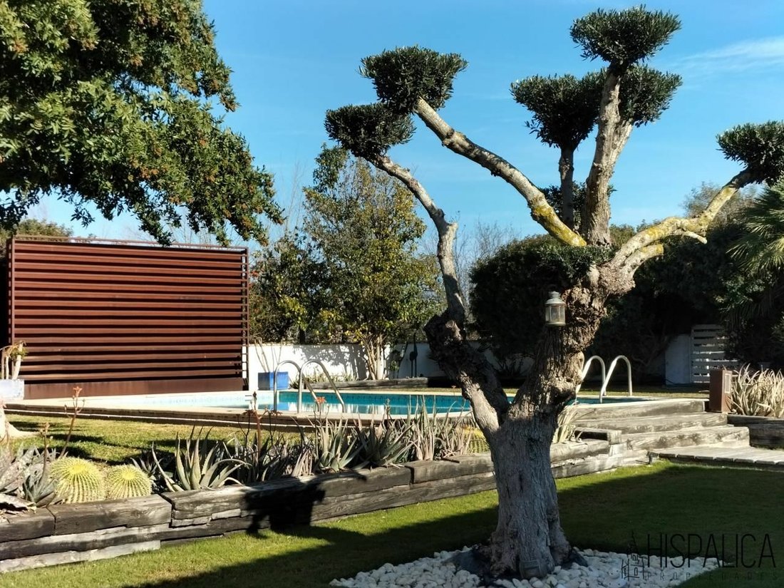 Utrera Apartment In Utrera, Andalusia, Spain For Sale (11774181)