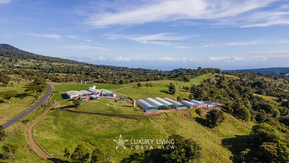 Finca in Alajuela, Alajuela, Costa Rica 1 - 11848126