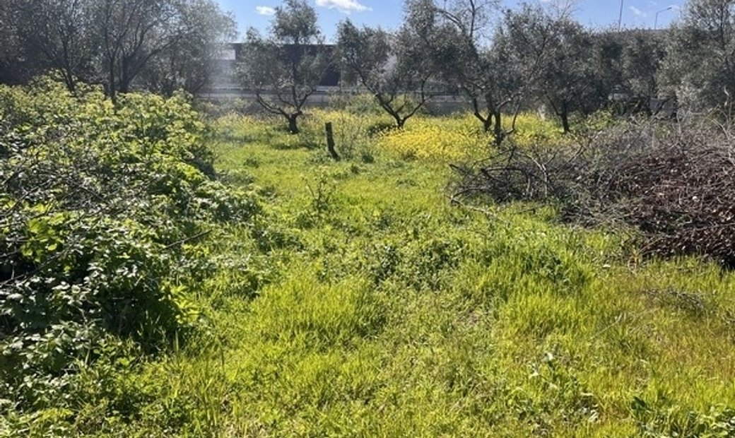 (For Sale) Land In Chios, Decentralized Administration Of The Aegean