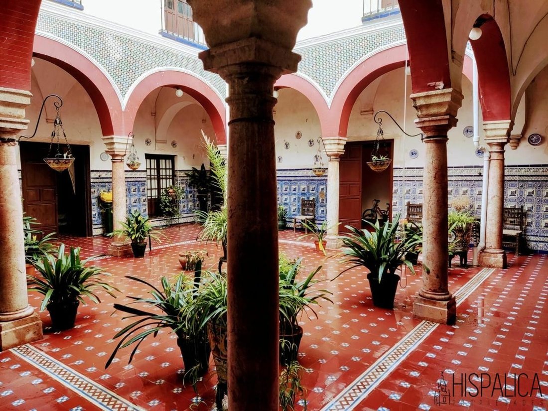 Villa in Villamartin, Andalusia, Spain 3 - 11865566