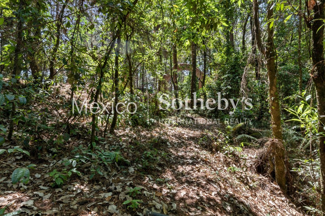 Land in El Castellano, State of Mexico, Mexico 3 - 11867121