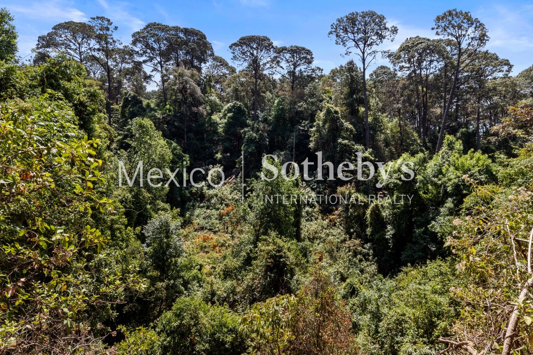 Land in El Castellano, State of Mexico, Mexico 5 - 11867121