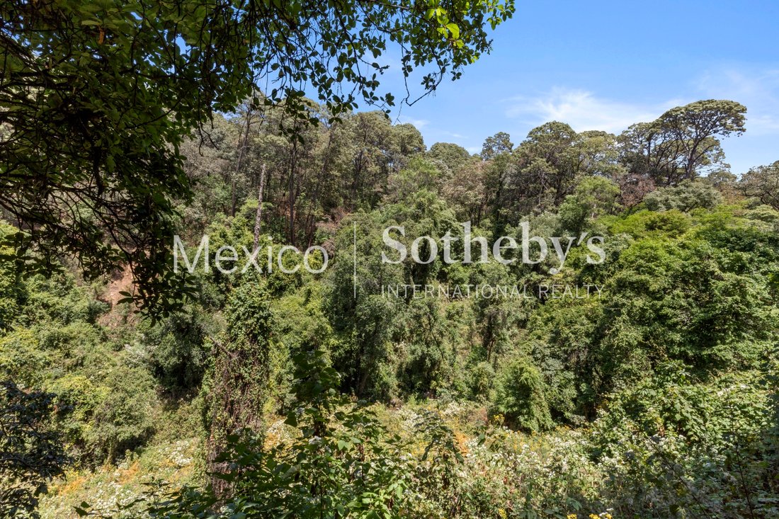 Land in El Castellano, State of Mexico, Mexico 4 - 11867121