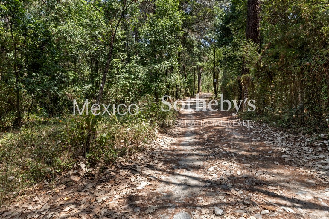 Land in El Castellano, State of Mexico, Mexico 2 - 11867121