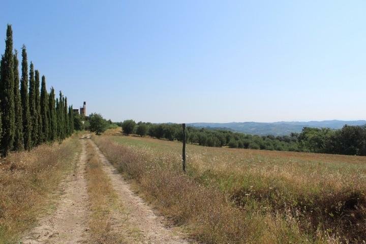 Farm Ranch in Lucardese - Vallone - Renai, Castelfiorentino, Tuscany 5 - 11869337