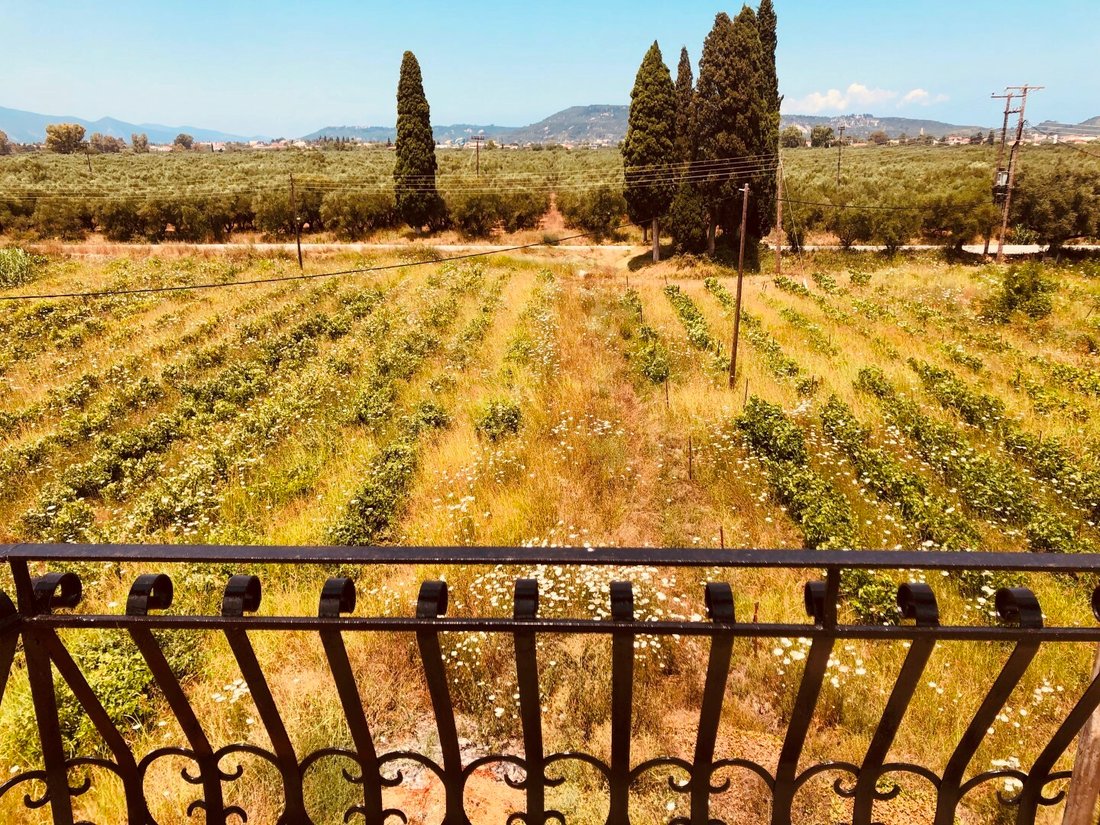 Finca en Maxairadou, Artemisia, Grecia 5 - 11867723
