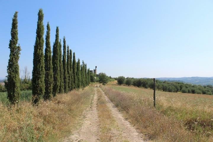 Farm Ranch in Lucardese - Vallone - Renai, Castelfiorentino, Tuscany 4 - 11869337