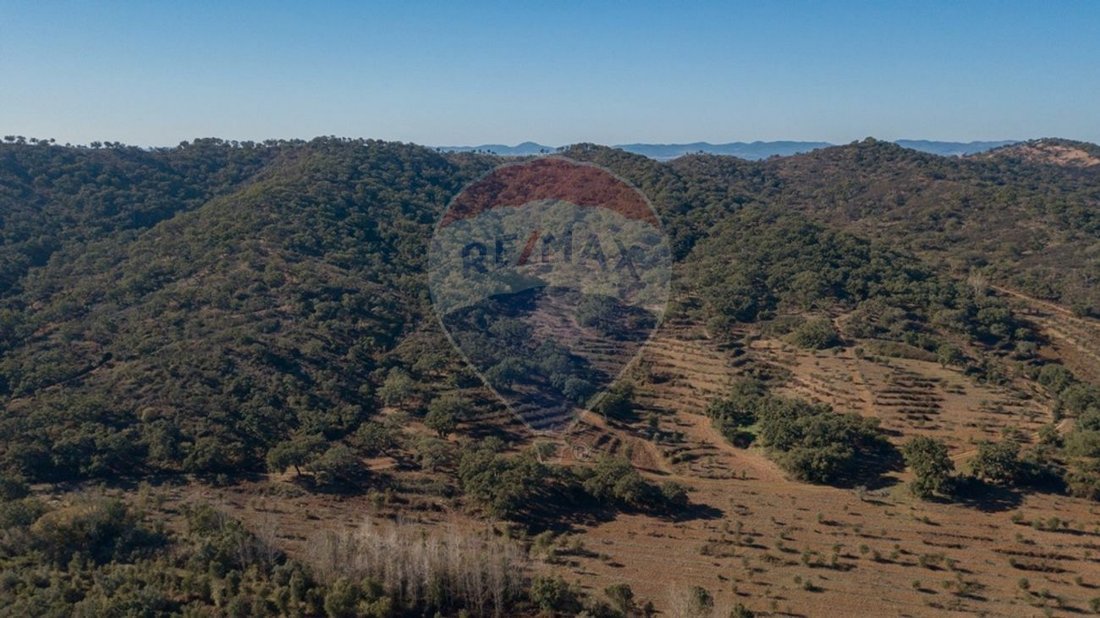 Finca in Colos, Beja District, Portugal 5 - 11870528