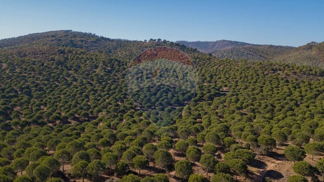 Finca in Sao Luis, Beja District, Portugal 3 - 11870532