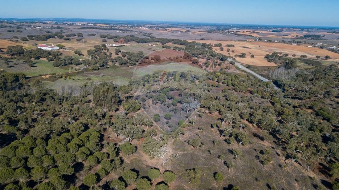 Finca in Sao Luis, Beja District, Portugal 4 - 11870532