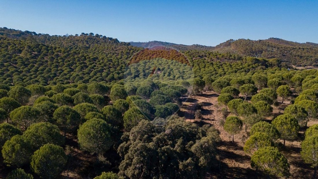Finca in Sao Luis, Beja District, Portugal 2 - 11870532