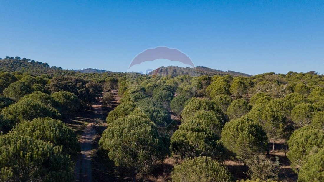Finca in Sao Luis, Beja District, Portugal 1 - 11870532