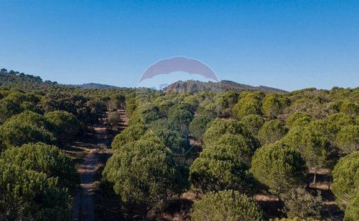 Finca à São Luis, Beja, Portugal 1