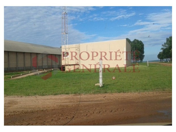 Farm Ranch in Itiquira, Mato Grosso, Brasilien 1