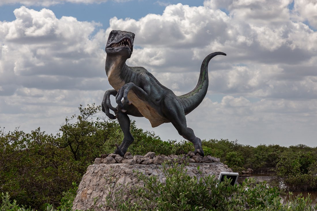 Land in Chicxulub, Yucatan, Mexico 5 - 11700933
