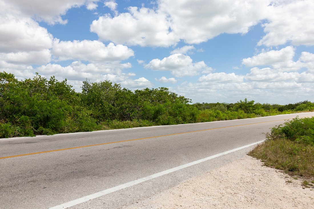 Land in Chicxulub, Yucatan, Mexico 3 - 11700933
