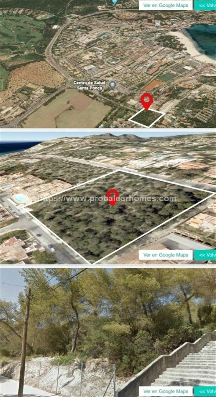 Rotes Velles, Calvia, Balearic Islands 4 - 11874443
