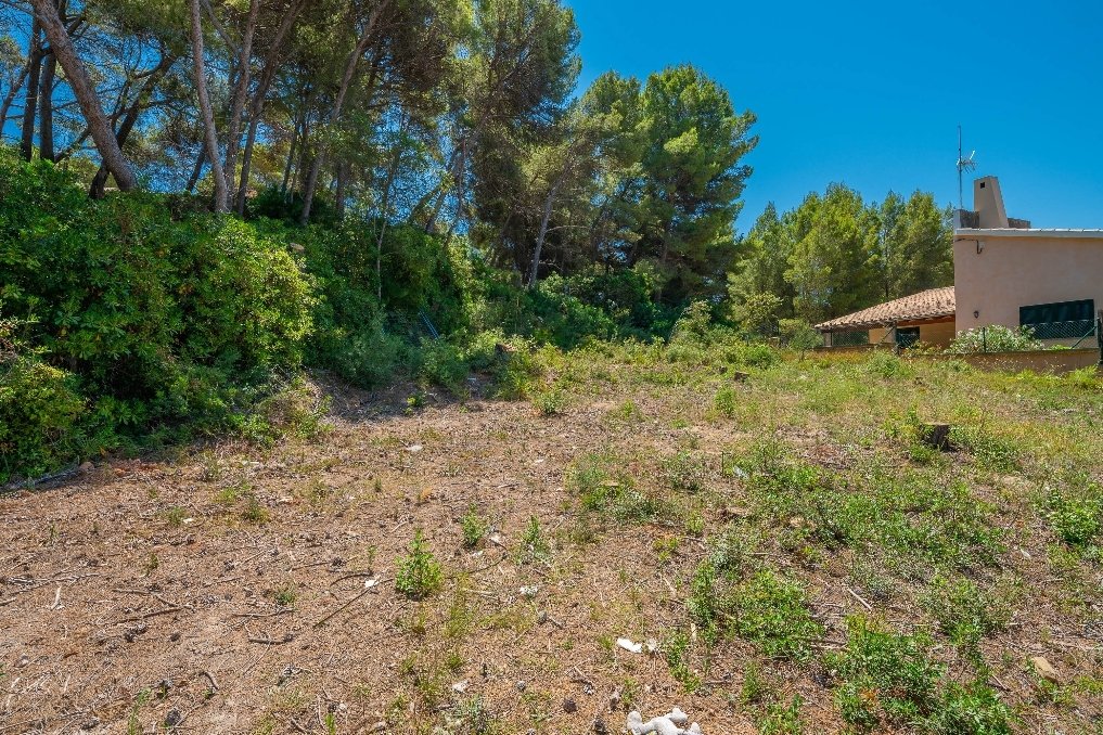 Land in Alcudia, Balearic Islands, Spain 4 - 11876625