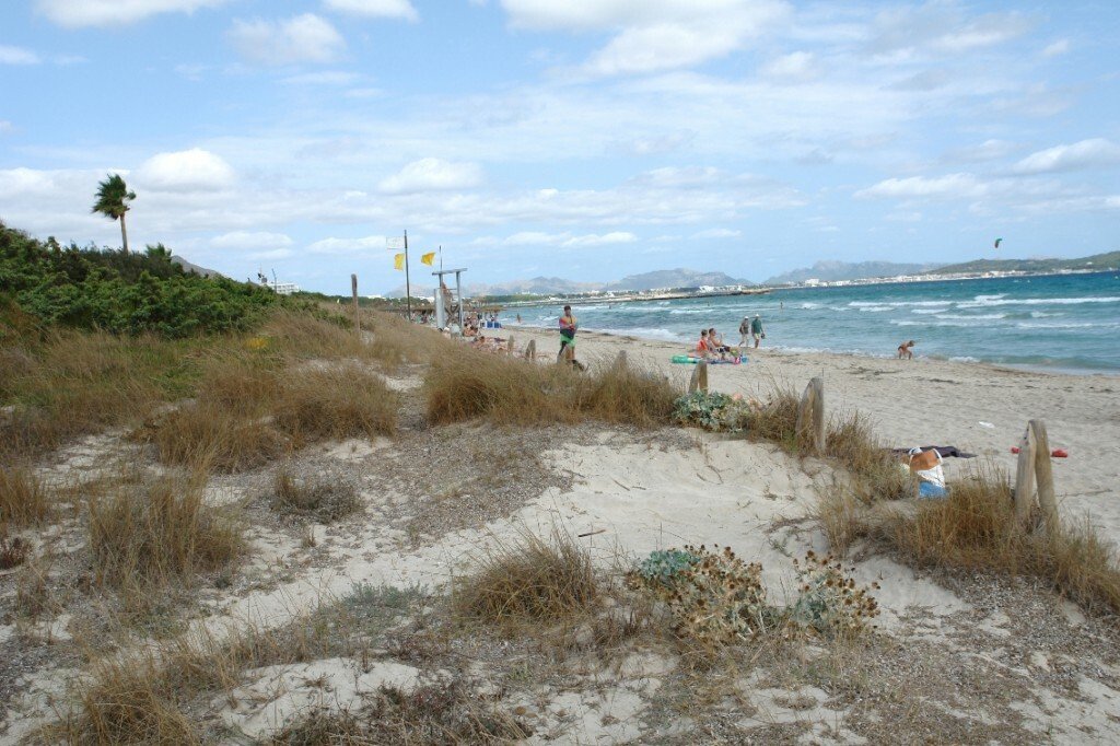 Land in Muro, Balearic Islands, Spain 4 - 11876767