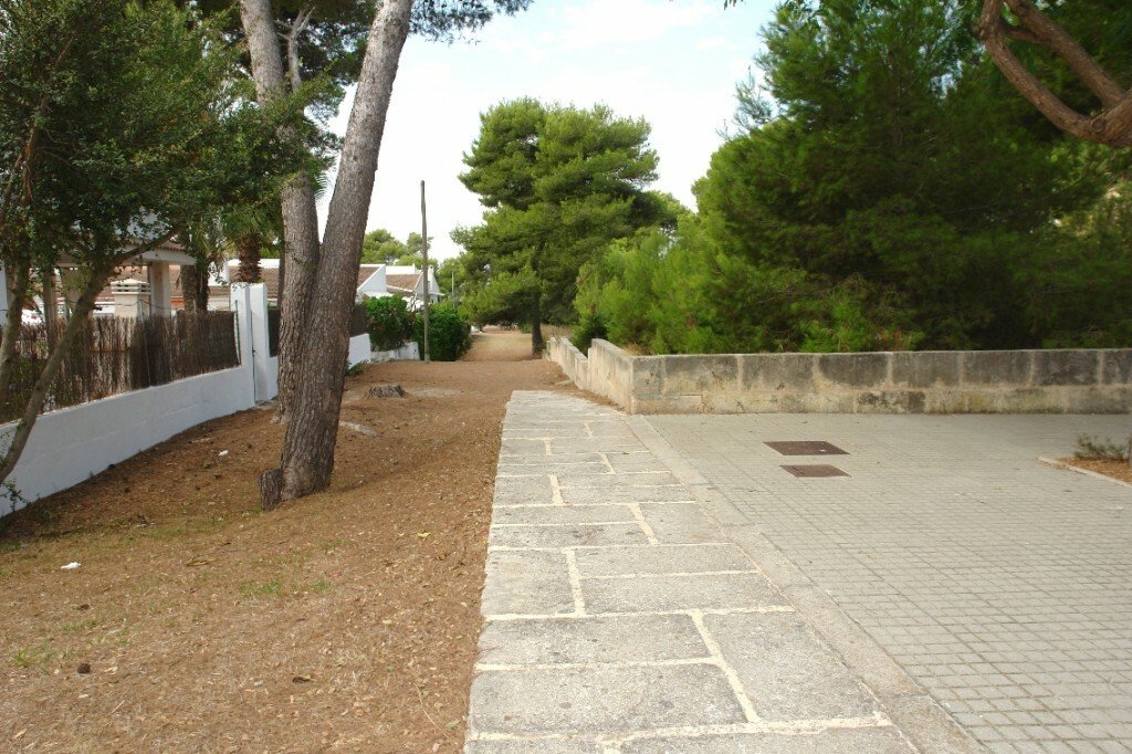 Land in Muro, Balearic Islands, Spain 5 - 11876767
