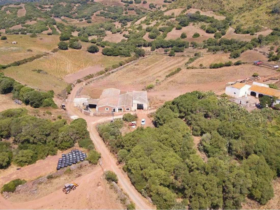 Country House in Ferreries, Balearic Islands, Spain 4 - 11880308
