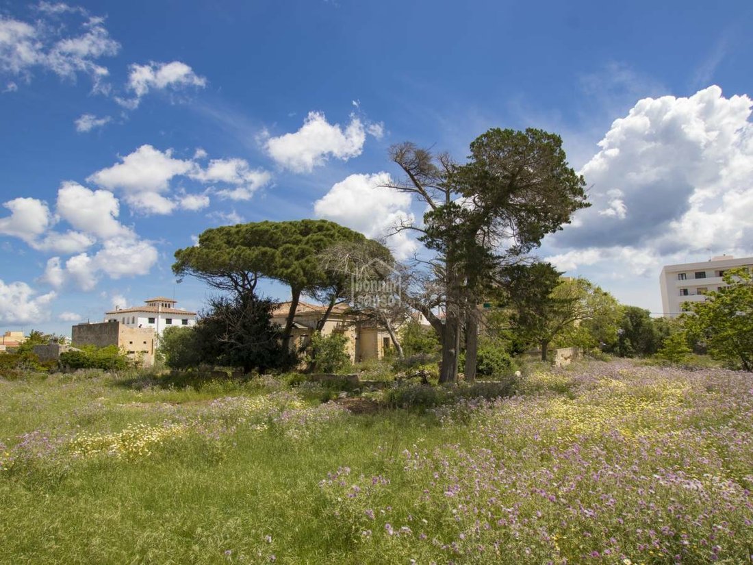 Altro a Maó, Isole Baleari, Spagna 5 - 11880375