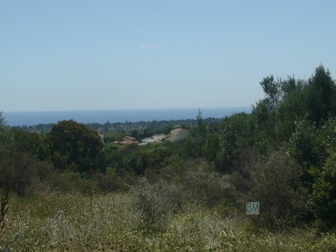 Land in Sotogrande, San Roque, Andalusia 2 - 11880589