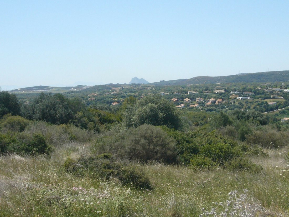 Land in Sotogrande, San Roque, Andalusia 4 - 11880589
