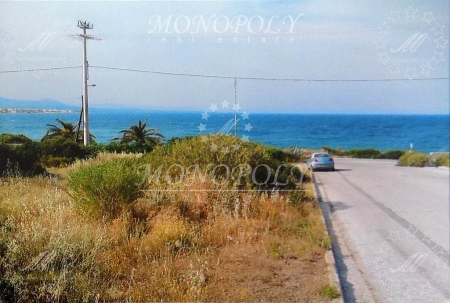 Markopoulo Mesogaias, Attica, Greece 1 - 11887256
