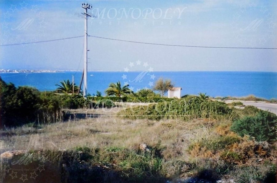 Markopoulo Mesogaias, Attica, Greece 2 - 11887256