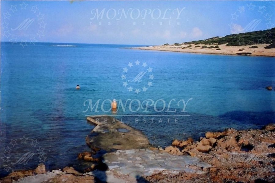 Markopoulo Mesogaias, Attica, Greece 4 - 11887256