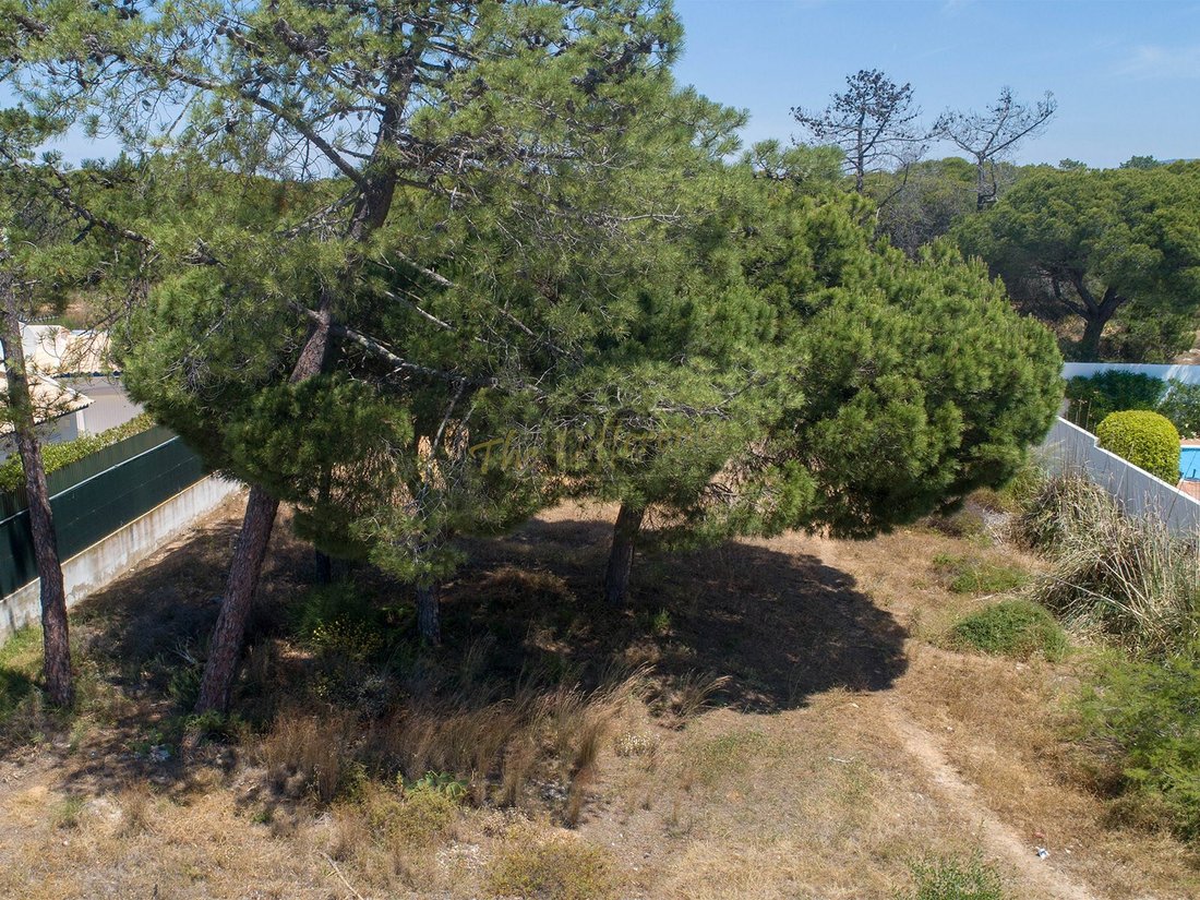 Land in Almancil, Algarve, Portugal 4 - 11889782