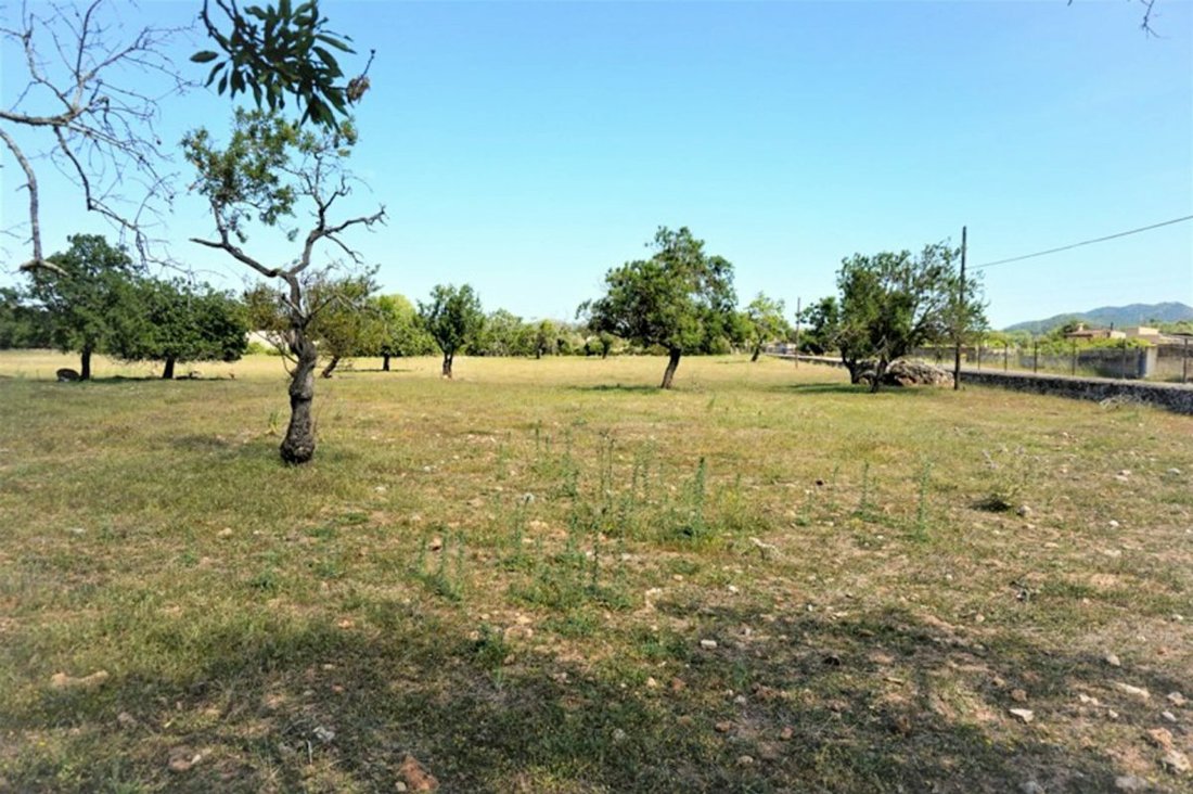 Land in Canyamel, Capdepera, Balearic Islands 1 - 11893102